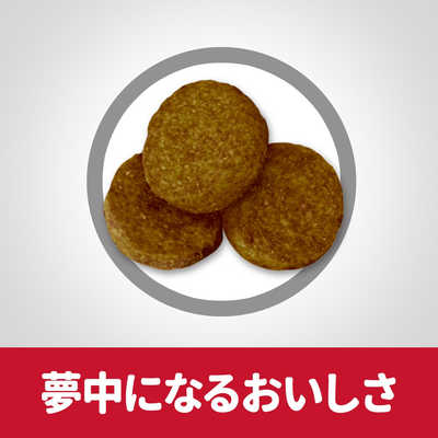 日本ヒルズコルゲート SDライト大型犬種用肥満傾向の成犬用12kg