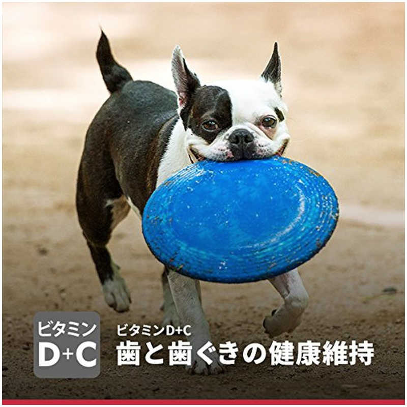日本ヒルズコルゲート 日本ヒルズコルゲート サイエンス･ダイエットアダルト小型犬用成犬用1.5kg  