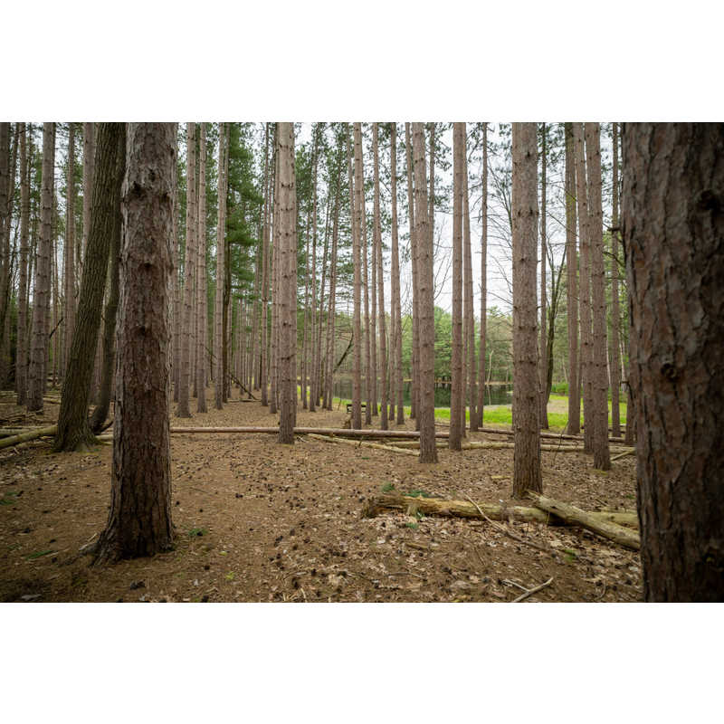 シグマ シグマ カメラレンズ  (ソニーE用/フルサイズ対応) Contemporary 16-28mm F2.8 DG DN Contemporary 16-28mm F2.8 DG DN
