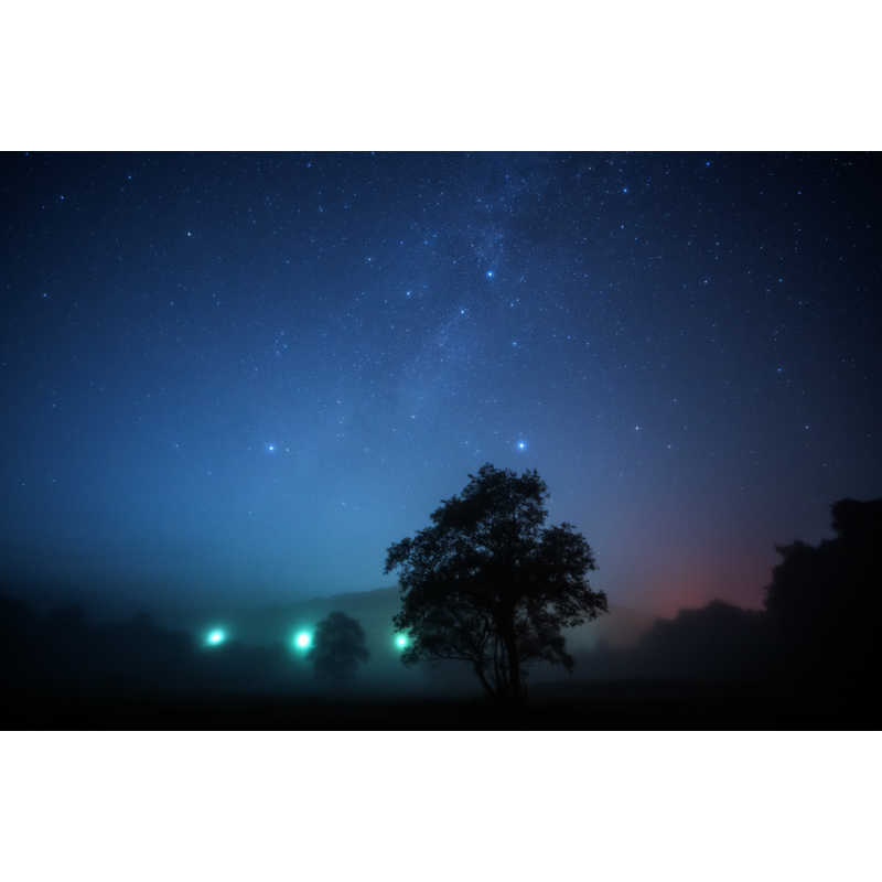 シグマ シグマ カメラレンズ  (ソニーE用/フルサイズ対応) Art 14-24mm F2.8 DG HSM Art 14-24mm F2.8 DG HSM