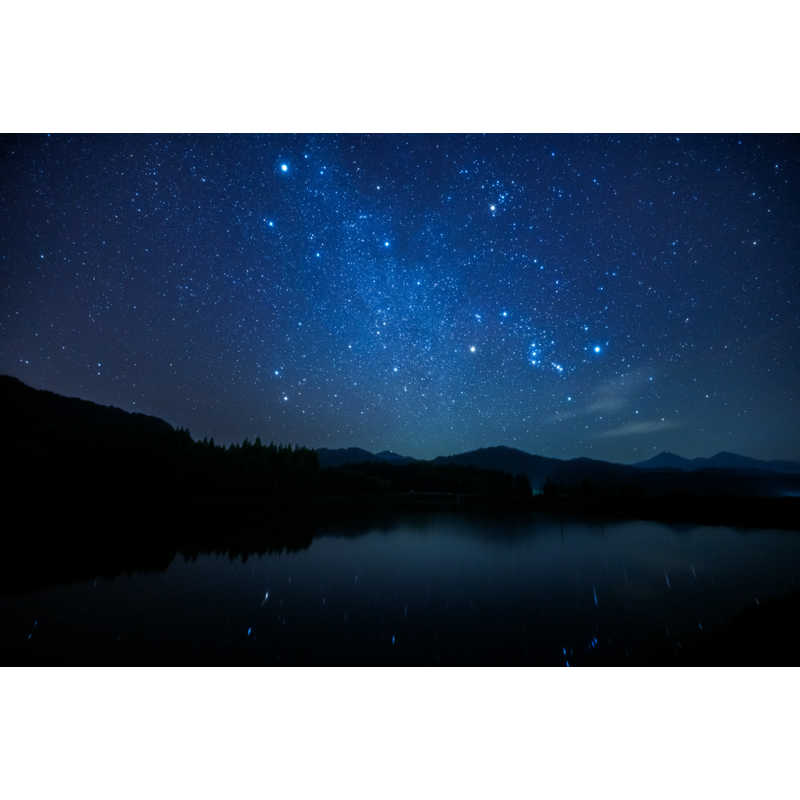 シグマ シグマ カメラレンズ  (ソニーE用/フルサイズ対応) Art 14-24mm F2.8 DG HSM Art 14-24mm F2.8 DG HSM