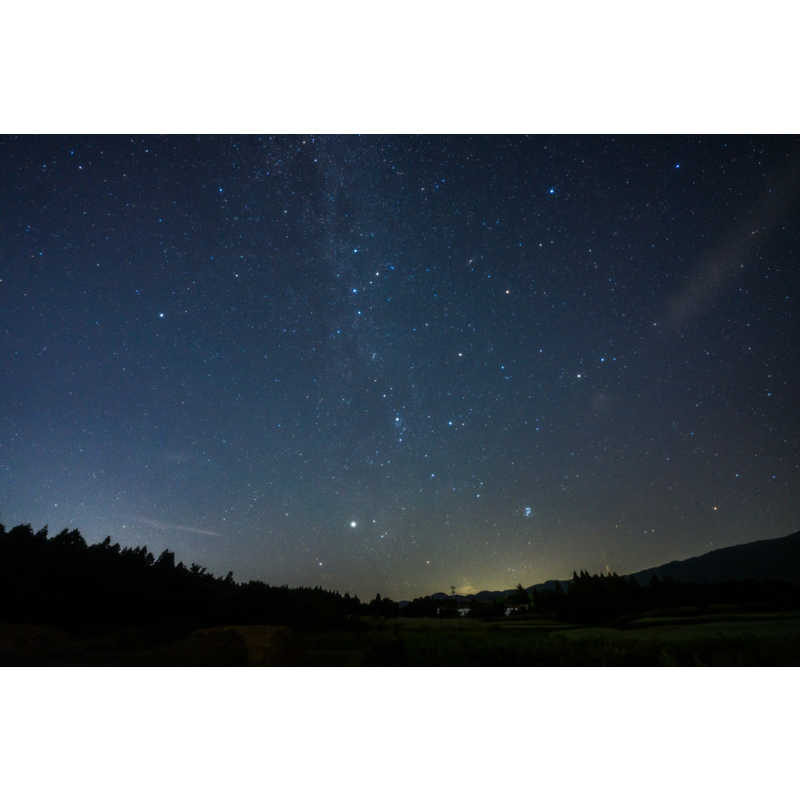 シグマ シグマ カメラレンズ  (ライカSL/TL用) Art 14-24mm F2.8 DG HSM Art 14-24mm F2.8 DG HSM