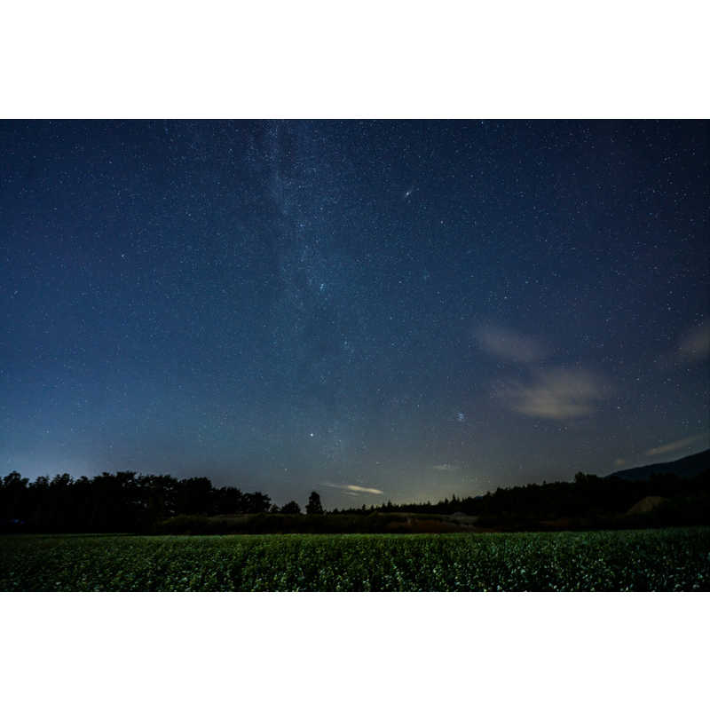 シグマ シグマ カメラレンズ  (ライカSL/TL用) Art 14-24mm F2.8 DG HSM Art 14-24mm F2.8 DG HSM
