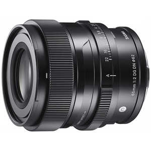 シグマ カメラレンズ 65mm F2 DG DN (ライカSL/TL用) 