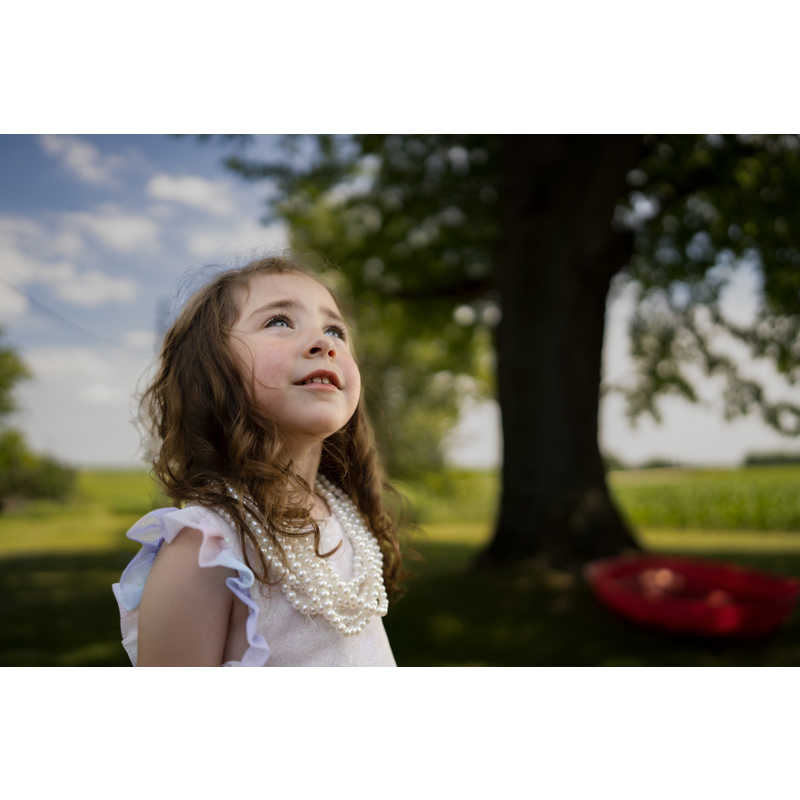 シグマ シグマ カメラレンズ  (ソニーE用/フルサイズ対応) Art 24mm F1.4 DG DN Art 24mm F1.4 DG DN