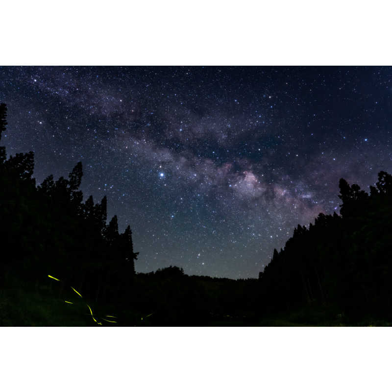 シグマ シグマ カメラレンズ  (ソニーE用/フルサイズ対応) Art 20mm F1.4 DG DN Art 20mm F1.4 DG DN