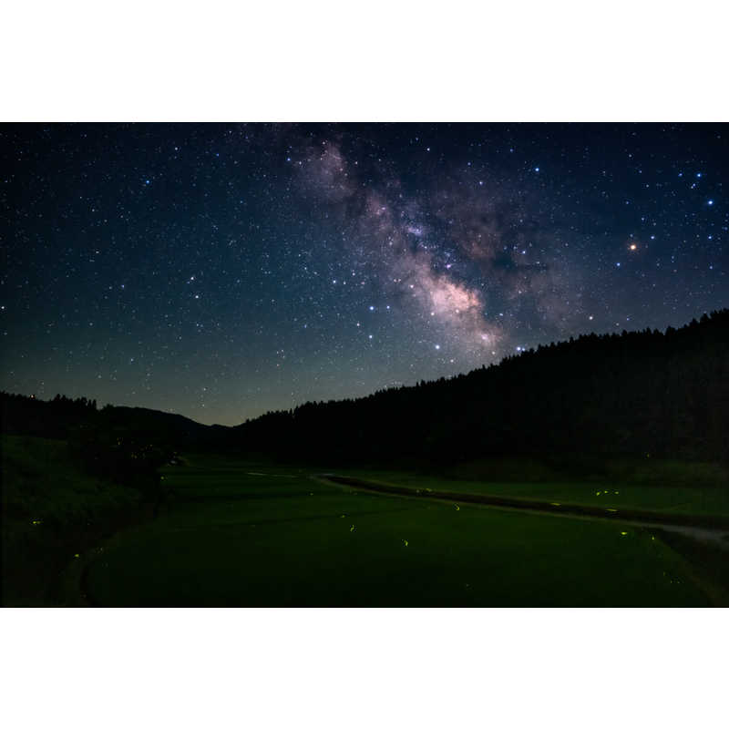 シグマ シグマ カメラレンズ  (ソニーE用/フルサイズ対応) Art 20mm F1.4 DG DN Art 20mm F1.4 DG DN