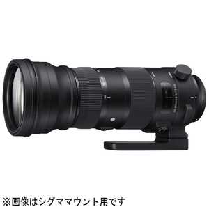 シグマ カメラレンズ  (ニコンF用) 150-600mm F5-6.3 DG OS HSM Sports