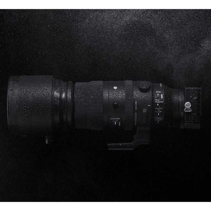 シグマ シグマ カメラレンズ 150-600mm F5-6.3 DG DN OS (ライカSL/TL用)  