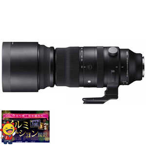シグマ カメラレンズ Sports Lマウント (ライカL /ズームレンズ) 150-600mm F5-6.3 DG DN OS