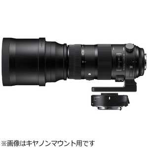 シグマ カメラレンズ Sports ［ニコンF /ズームレンズ］ ブラック 150-600mm F5-6.3 DG OS HSM Sports テレコンバーターキット