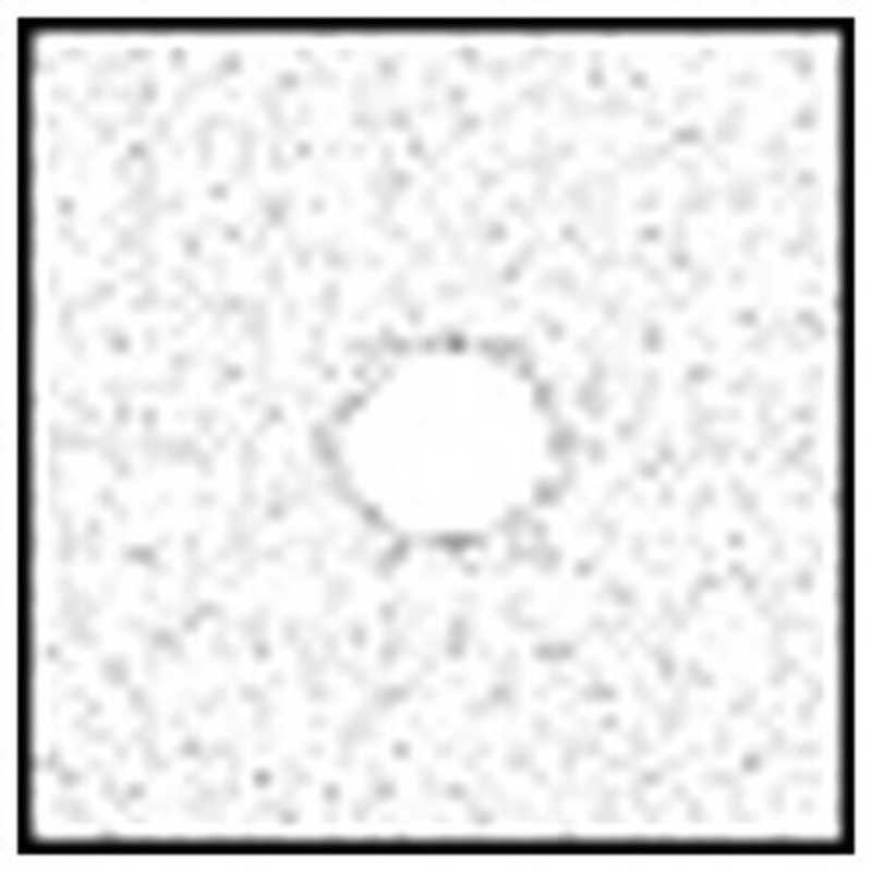 コッキン コッキン センタースポットフィルター(広角用)P071 センタｰスポット(ホワイト2) センタｰスポット(ホワイト2)