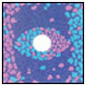 83×100mm�p �Z���^�[�X�|�b�g�t�B���^�[ �s���N���u���[ P672