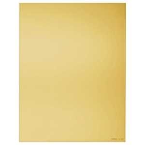 170×130mm角 全面カラーフィルター ウォーム81EF X037