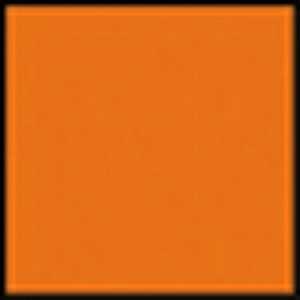 100mm�p �S�ʃJ���[�t�B���^�[ �I�����W Z002