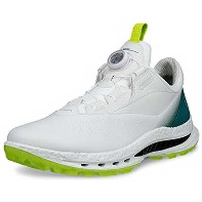 BIOM C5 BOA シューズ エコー メンズゴルフシューズ BIOM C5 BOA(バイオムシーファイブボア