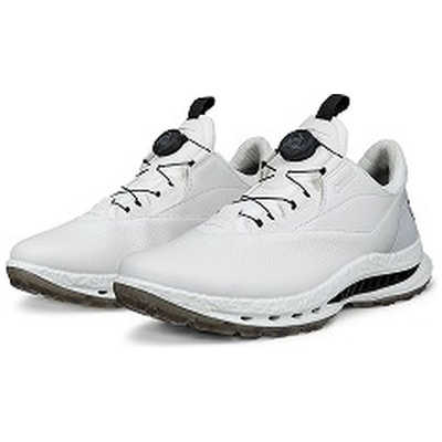 BIOM C5 BOA シューズ エコー メンズゴルフシューズ BIOM C5 BOA(バイオムシーファイブボア