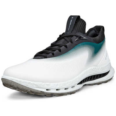 新品未使用　ECCO M GOLF BIOM C5 エコー　26.0 ゴルフ エコー ECCO ゴルフシューズ BIOM C5 バイオム・シー・ファイブ WHGR