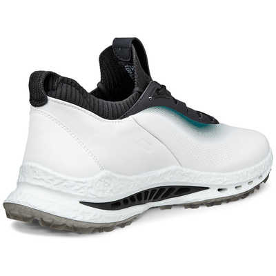 エコー ECCO ゴルフシューズ BIOM C5 バイオム・シー・ファイブ WHGR