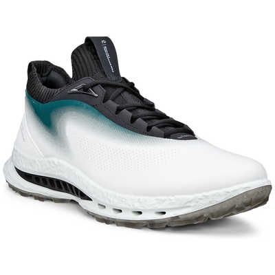 エコー ECCO ゴルフシューズ BIOM C5 バイオム・シー・ファイブ WHGR