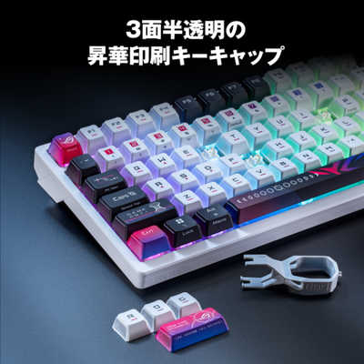ASUS エイスース ゲーミングキーボード (75% / 英語配列 ASUS エイスース ゲーミングキーボード (75% / 英語配列