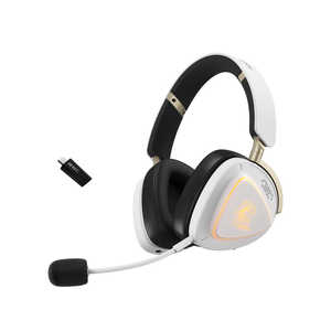 ASUS �G�C�X�[�X �Q�[�~���O�w�b�h�Z�b�g (���� / �R�W�}�v���_�N�g �R���{���f��) ROG/DELTA/II/KJP