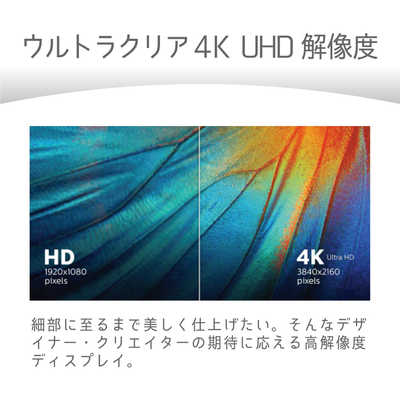 フィリップス PHILIPS EINシリーズ /31.5/VA/3840×2160/P対 ［31.5型