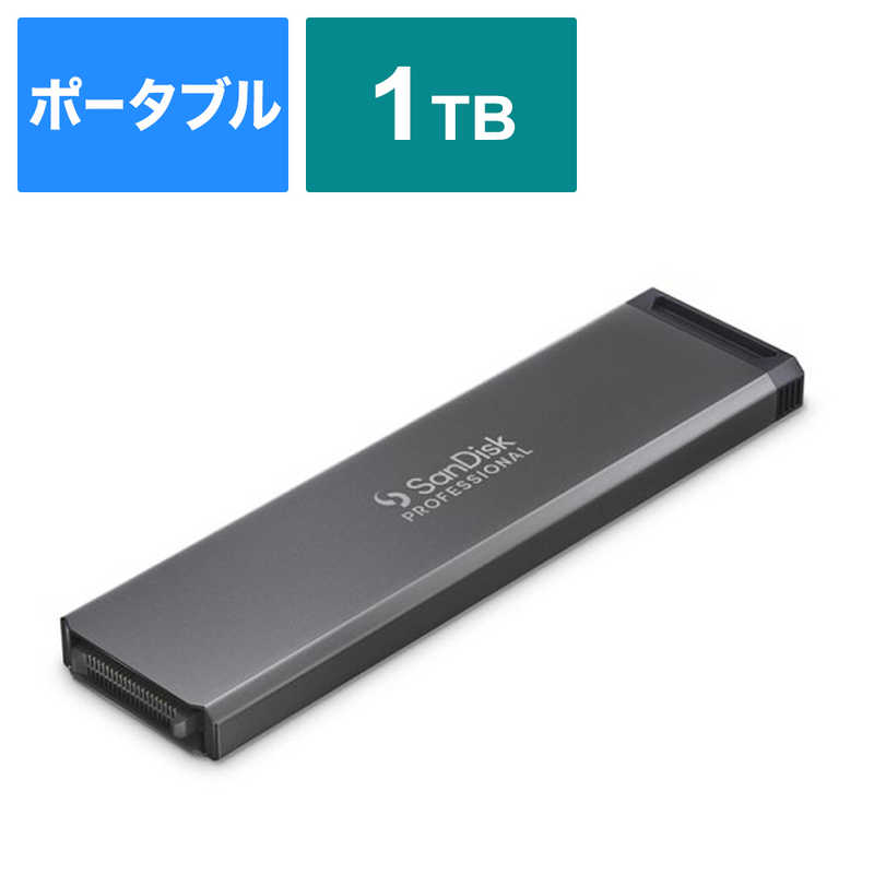 SANDISKPROFESSIONAL SANDISKPROFESSIONAL PROBLADE TRANSPORT用 SSD(受注生産品) PROBLADE SSD Mag ［1TB］ SDPM1NS001TGBAND SDPM1NS001TGBAND