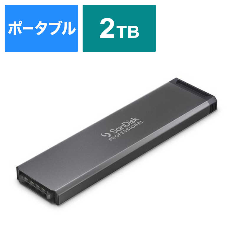 SANDISKPROFESSIONAL SANDISKPROFESSIONAL PROBLADE TRANSPORT用 SSD(受注生産品) PROBLADE SSD Mag ［2TB］ SDPM1NS002TGBAND SDPM1NS002TGBAND