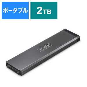 SANDISKPROFESSIONAL PROBLADE TRANSPORT用 SSD(受注生産品) PROBLADE SSD Mag ［2TB］ SDPM1NS002TGBAND