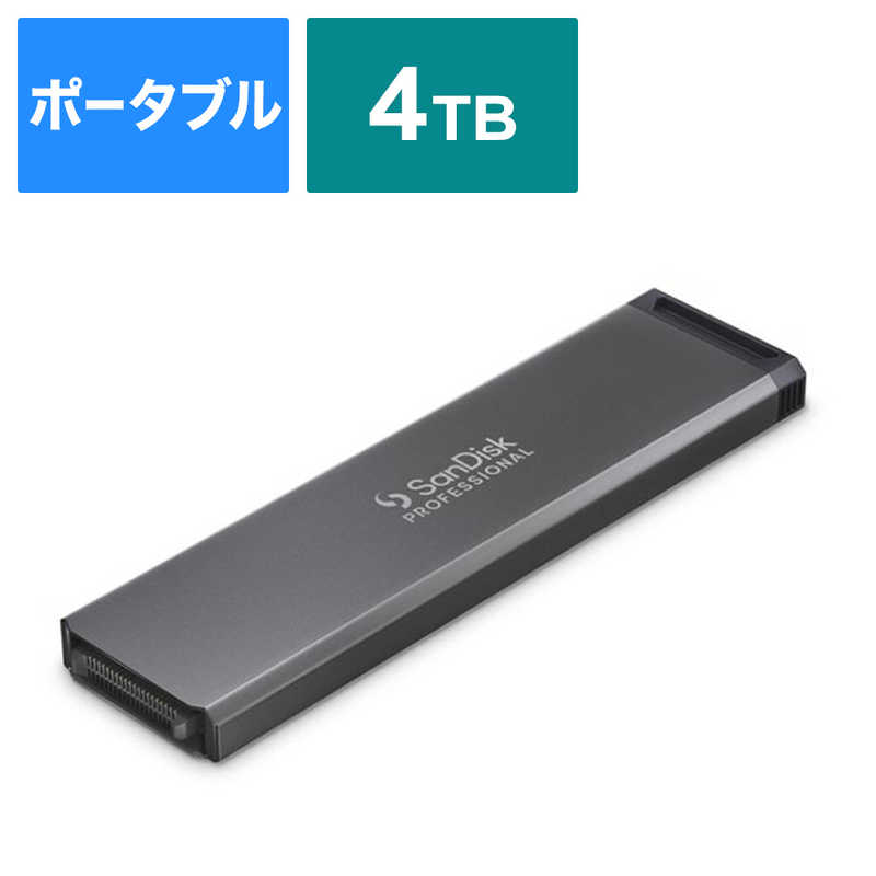 SANDISKPROFESSIONAL SANDISKPROFESSIONAL PROBLADE TRANSPORT用 SSD(受注生産品) PROBLADE SSD Mag ［4TB］ SDPM1NS004TGBAND SDPM1NS004TGBAND