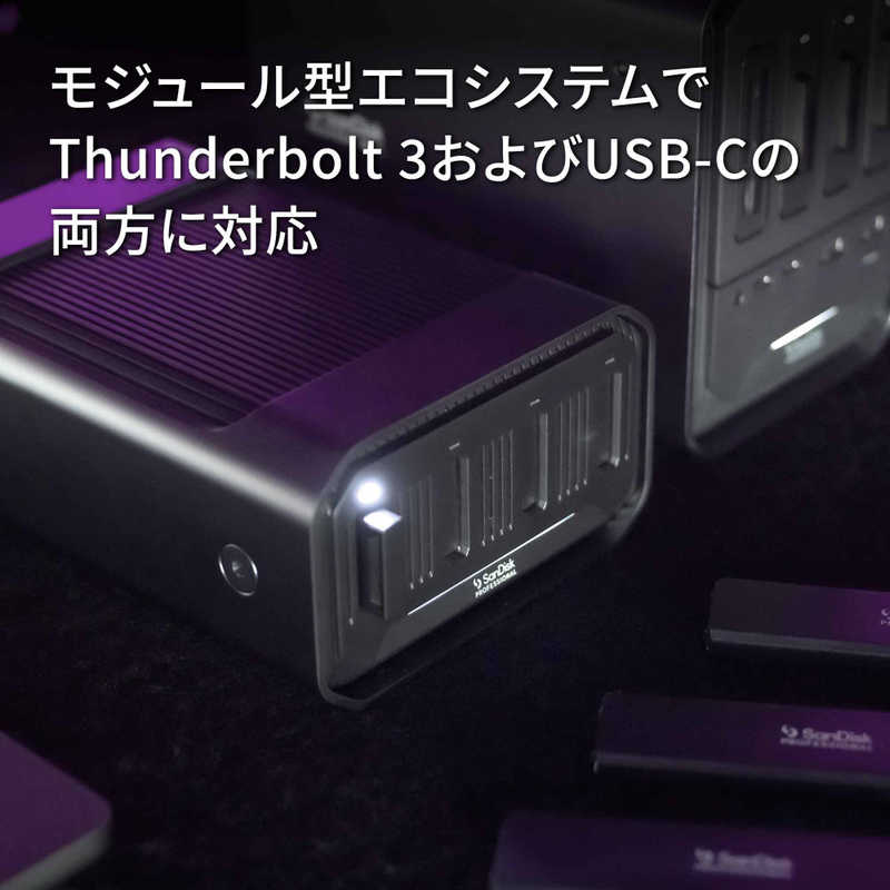 SANDISKPROFESSIONAL SANDISKPROFESSIONAL 外付けSSD Thunderbolt 3＋USB-C接続(別売 PRO-BLADE SSD Mag) PRO-BLADE STATION(Mac/Win)(受注生産) ［ポータブル型］ SDPM34F0000GBABD SDPM34F0000GBABD