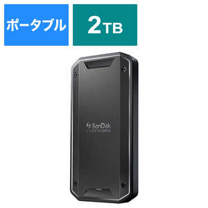 SANDISKPROFESSIONAL Thunderbolt 3/USB-C 両対応 高速ポータブルSSD PRO-G40 ［2TB /ポータブル型］ SDPS31H-002T-GBC1D