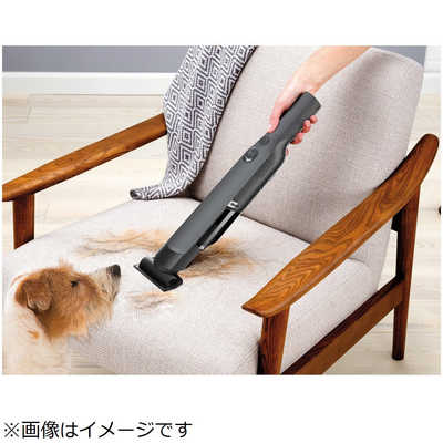 SHARK ハンディクリーナー EVOPOWER (エヴォパワー)W30 グレイ