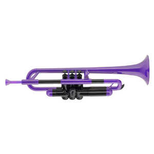 PINSTRUMENTS プラスチック製トランペット pTrumpet（ピー・トランペット） PURPLE PTRUMPET1P