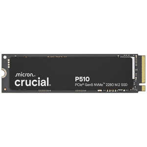 CRUCIAL SSD 1TB / M.2 CT1000P510SSD8JP