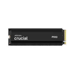 CRUCIAL SSD 1TB / M.2 CT1000P510SSD5JP