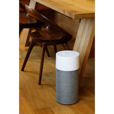 Amazon.co.jp: ブルーエア 空気清浄機 Blue 3210 15畳 360度吸引