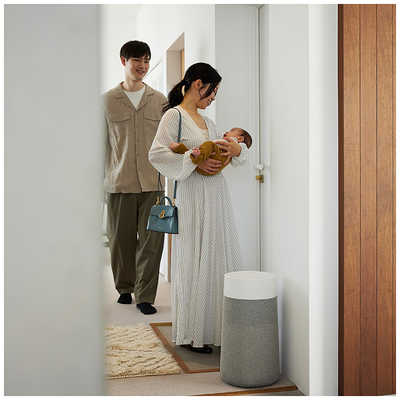 BLUEAIR 空気清浄機 Blue Max 3250i 空気清浄:22畳まで PM2.5対応