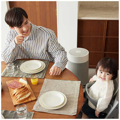 BLUEAIR 空気清浄機 Blue Max 3450i 空気清浄:31畳まで PM2.5対応