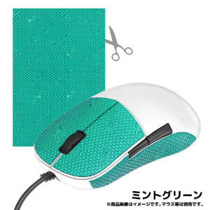 LIZARDSKINS マウス用グリップテープ DSPマウスグリップ ミントグリーン DSPMG197 LIZARDSKINS マウス用グリップテープ DSPマウスグリップ ミントグリーン DSPMG197