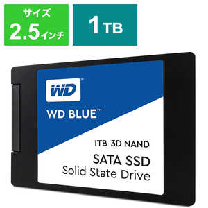WD Blue 3D NAND SATA WDS100T2B0A