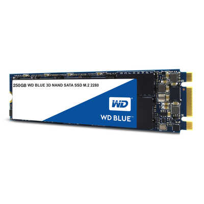 Western Digital ウエスタンデジタル 内蔵SSD 250GB