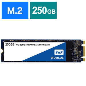 WESTERN DIGITAL 内蔵SSD 250GB WD BLUE 3D NAND SATA｢バルク品｣ WDS250G2B0B