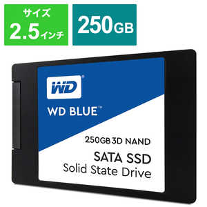 WD Blue 3D NAND SATA WDS250G2B0A