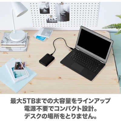 WD ポータブルHDD 1TB USB3.0 ブラック 外付けハードディスク