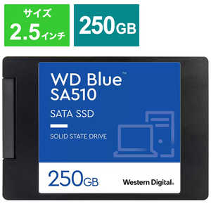 WESTERN DIGITAL WD Blue SA510 SATA SSD [2.5]֥Х륯ʡ WDS250G3B0A