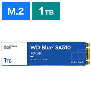 WESTERN DIGITAL WD Blue SA510 SATA M.2 SSD֥Х륯ʡ WDS100T3B0B