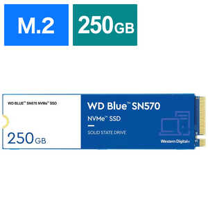 WESTERN DIGITAL 内蔵SSD WDS250G3B0C