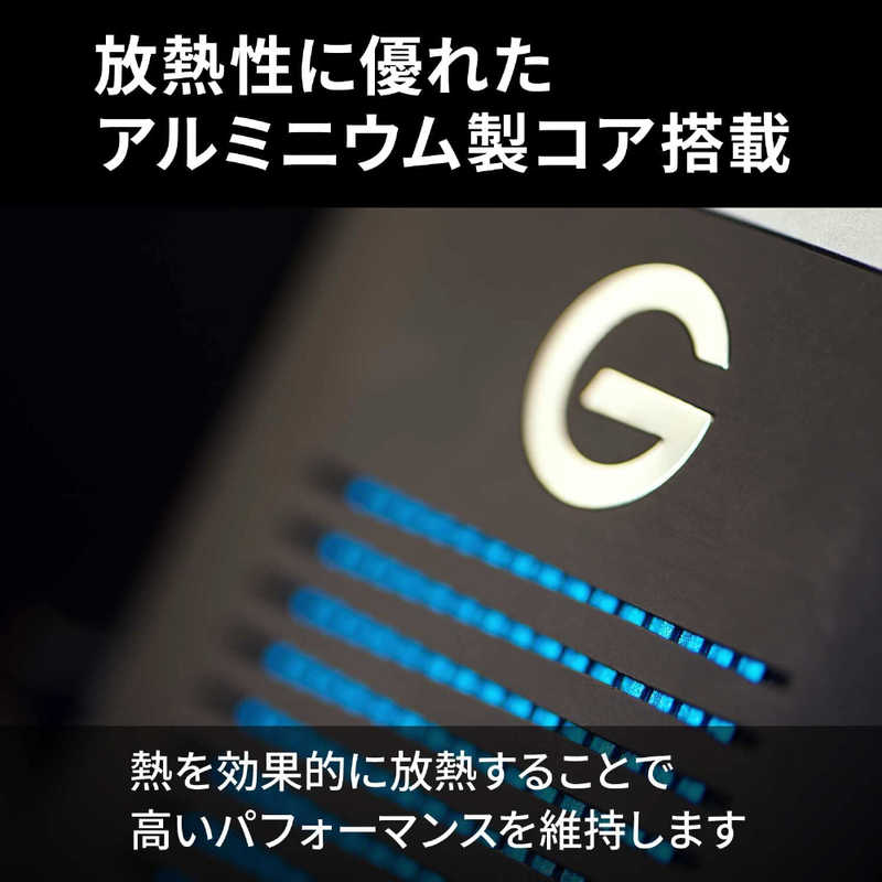 SANDISKPROFESSIONAL SANDISKPROFESSIONAL 外付けSSD Thunderbolt接続 【受注生産品】 G-DRIVE Pro SSD ブラック [1TB /ポータブル型] SDPS51F-001T-GBANB SDPS51F-001T-GBANB